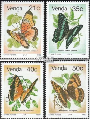 Produktbild von Briefmarken Südafrika - Venda 1990 Mi 213-216 (kompl.Ausg.) postfrisch Schmetterlinge