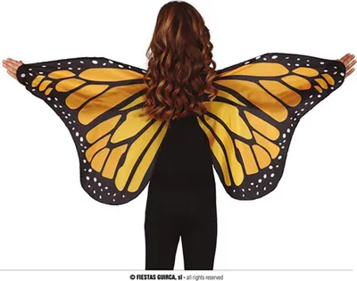 A person wearing butterfly wings.