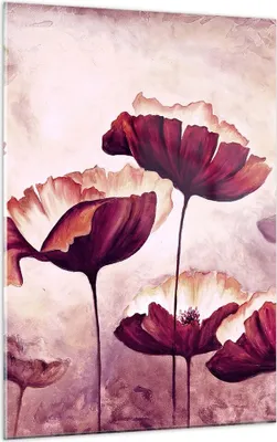 Produktbild von Bilder auf glas - Einteilig - Mohn Blume Wiese - 50x70cm - Glasbilder - Wandbilder - Bilder - zum Aufhängen bereit - Wanddekoration aus Glas - Glas Bilder - Wandbild auf Glas - GPA50x70-3934