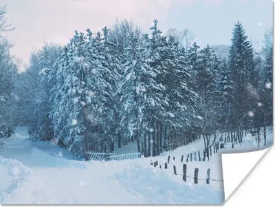 Produktbild von MuchoWow® Poster Wald - Schnee - Winter 120x90 cm - Wandbild