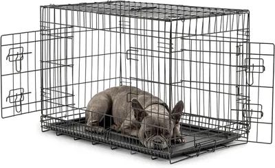 Immagine prodotto di Trasportino per cani - Contenitore per animali - Trasporto sicuro - Include divisorio - 76x49x56 cm - Nero