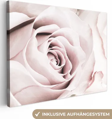 Obrázek produktu pro OneMillionCanvasses® - Obraz na plátně - Květiny - Růže - Růžová - Botanická, nástěnná malba, nástěnné dekorace obrazy obývací pokoj, 80x60cm