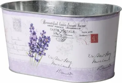 Immagine prodotto di LEVANDULE Cassettone ovale in metallo 23x14x12cm