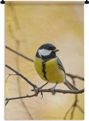 Produktbild von MuchoWow® Wandteppich Wandbehang Kohlmeise - Zweig - Vogel - Tiere 60x90 cm Tapisserie Dekoration Wandtuch - Foto-Teppich - Abwaschbar