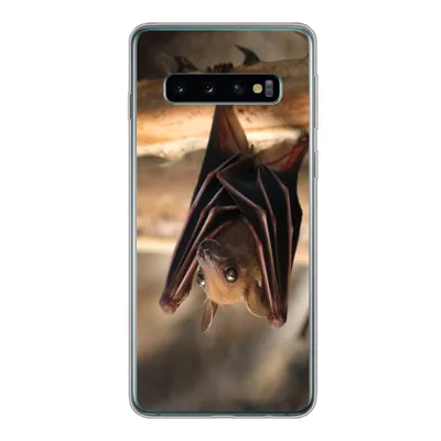 Produktbild von MuchoWow® Handyhülle Schutzhülle Hülle für Samsung Galaxy S10 Baby - Fledermaus - Holz Silikon Softcase Handy Hülle - Handytasche