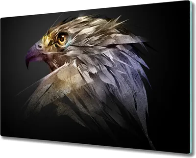 Produktbild von Coloray Herdabdeckplatte 80x52 cm Schneidebrett Kochplattenabdeckung Küchenbrett Hackbrett - Adler Vogel