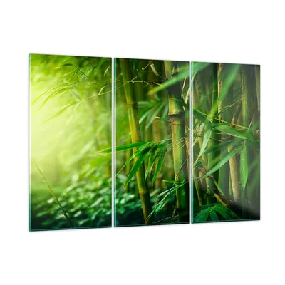 Produktbild von Bilder auf glas - Bambus Pflanze - 165x110cm - Glasbilder - Wandbilder - Kunstdruck - zum Aufhängen bereit - Wanddekoration aus Glas - Glas Bilder - Wandbild auf Glas - 3 Teile - GCE165x110-3558