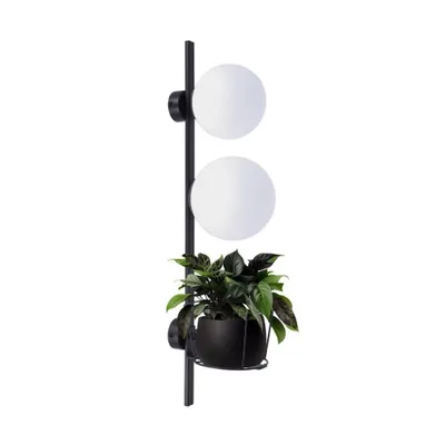 Image de Applique murale PLANT noire 2xE27x40W en verre, dimensions : 70x14x20 cm, IP20, Zuma Line