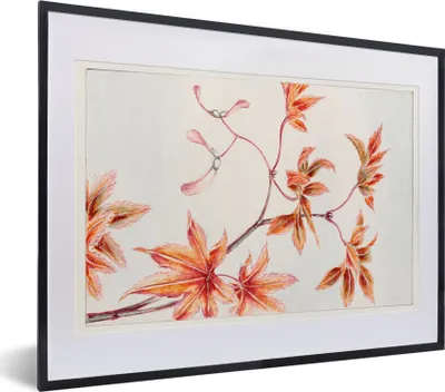 Produktbild von MuchoWow® Gerahmtes Poster Blätter - Baum - Ahorn - Vintage - Japanisch 40x30 cm - Poster mit Schwarzem Bilderrahmen Wandposter Rahmen Foto Bilder - Bilderrahmen - Poster im Rahmen
