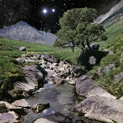 Image de The Beta Band (édition de luxe)