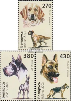 Produktbild von Briefmarken Weißrussland 2003 Mi 502-504 (kompl.Ausg.) postfrisch Hunde