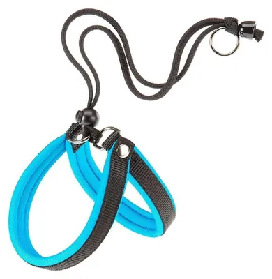 Produktbild von Haustieraccessoires für Hunde, Schwarz