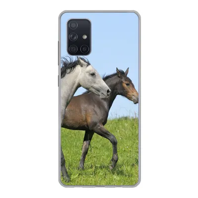 Produktbild von MuchoWow® Handyhülle Schutzhülle Hülle für Samsung Galaxy A51 Pferde - Tiere - Gras Silikon Softcase Handy Hülle - Schutzabdeckung