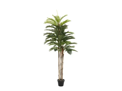 Obrázek produktu pro Europalms Kentia Palme Kunstpflanze 150cm 82511366
