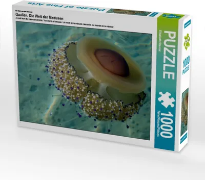 Produktbild von CALVENDO Puzzle Ein Motiv aus dem Kalender Quallen. Die Welt der Medusen | 1000 Teile Lege-Größe 64x48cm Foto-Puzzle für glückliche Stunden