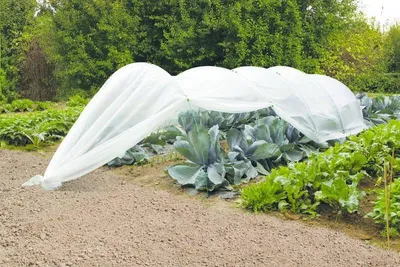 Produktbild von Wärmeschutznetz aus Polyethylen - 4 x 6 m - 37 g/m2