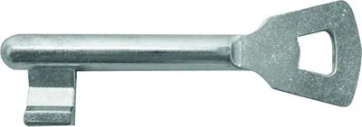 Image de Clé de porte intérieure D351 pièce unique - Vachette