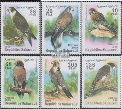 Produktbild von Briefmarken Sahara 1999 Mi Ausgabe der Exilregierung ohne Gültigkeit im int. Postverkehr Nr.59 postfrisch Raubvögel
