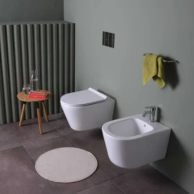 Produktbild von Keramik-Bidet und spülrandloses WC in glänzend weißer Farbe | Blues