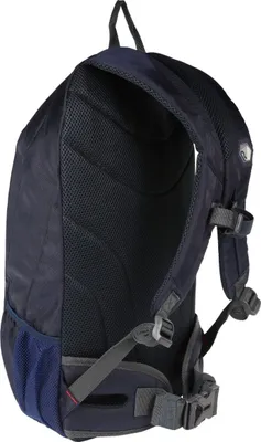 The back view of a navy blue backpack is shown against a white background.