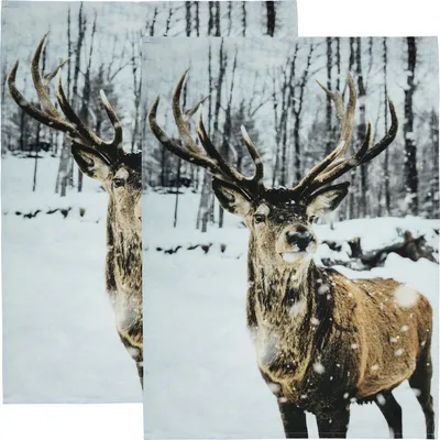 Produktbild von Erwin Müller Geschirrtuch 2er-Pack Hirsch 50x70 cm