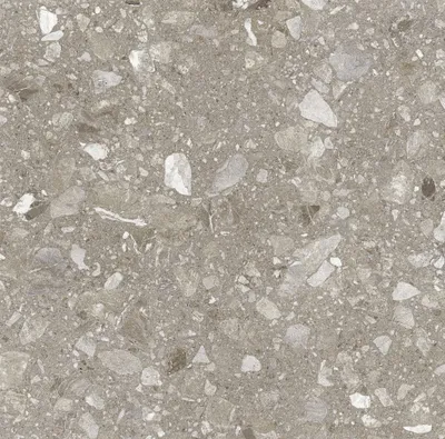 Produktbild von Bodenfliese Feinsteinzeug Terra 60 x 60 cm greige