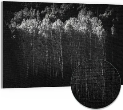 Produktbild von DEQORI Hybrid Leinwand Bild 90x60 cm 'Stille des Waldes' Wandbild Glas flach modern