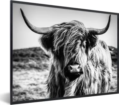 Produktbild von MuchoWow® Gerahmtes Poster Schottischer Highlander - Natur - Kuh - Schwarz - Weiß 80x60 cm - Poster mit Schwarzem Bilderrahmen Wandposter Rahmen Foto Bilder - Schwarzem - Mit Gestell
