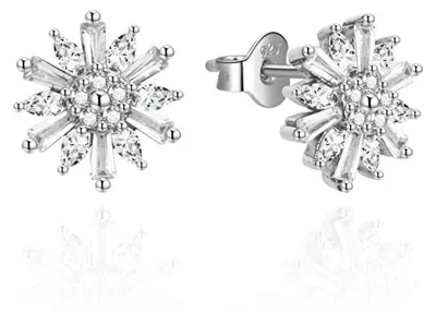 Image de Boucles d'oreilles argent scintillantes avec zircon AGUP2725