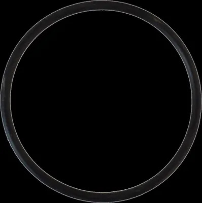 Produktbild von Sanicomfort O-Ring für Heizölfilter