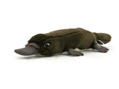 A plush toy platypus is shown lying on a white background.