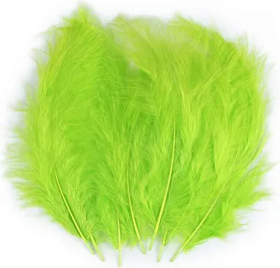 Immagine prodotto di Piume decorative Piume di struzzo lime 9-16 cm