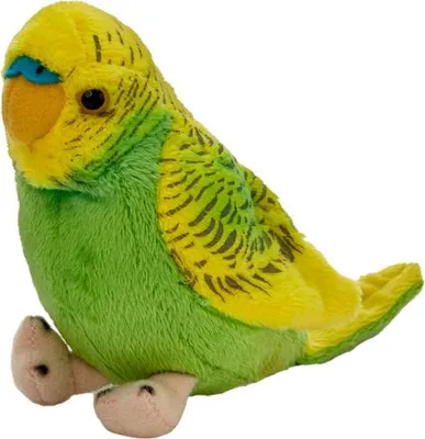 Image de Perruche ondulée BEPPE 13 cm vert-jaune 13728