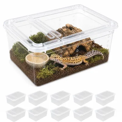 Imagen del producto de Comedero portátil para reptiles, juego de 10 unidades