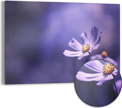 Produktbild von DEQORI Magnettafel Metall 60x40 cm 'Lilablütenzauber' Whiteboard Pinnwand Magnetboard Büro