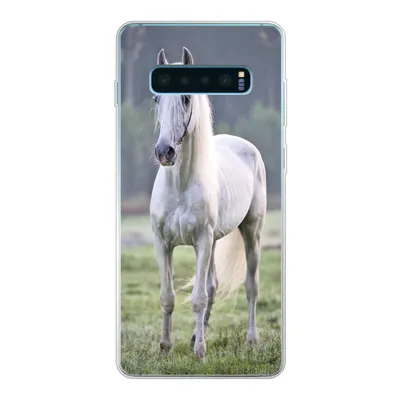 Produktbild von MuchoWow® Handyhülle Schutzhülle Hülle für Samsung Galaxy S10 Lite Pferd - Licht - Morgen Silikon Softcase Handy Hülle - Schutz