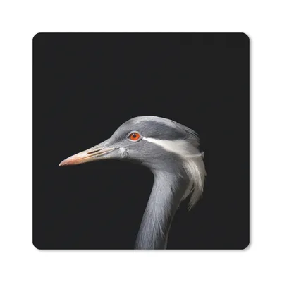 Produktbild von MuchoWow® Mauspad Mousepad Vogel - Tiere - Porträt 20x20 cm - Mousepads - Maus Mat - Pad - Mausunterlage