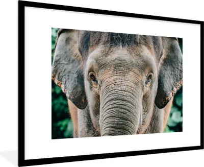 Produktbild von MuchoWow® MuchoWow® Gerahmtes Poster Nahaufnahme eines Elefanten 90x60 cm - Poster mit zchwarzem Bilderrahmen - Wanddekoration - Fotos