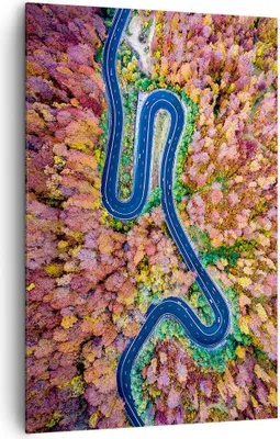 Produktbild von Bild auf Leinwand - Leinwandbild - Einteilig - Kurvenreich Weg Wald - 80x120cm - Wand Bild - Wanddeko - Wandbilder - Leinwanddruck - Wanddekoration - Leinwand bilder - Wandbild - PA80x120-4291