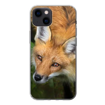 Produktbild von MuchoWow® Handyhülle Schutzhülle Hülle für iPhone 13 mini Fuchs - Grün - Orange Silikon Softcase Handy Hülle - Softcase