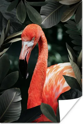 Produktbild von MuchoWow® Poster Flamingo - Blätter - Grün 80x120 cm - Papierdruck