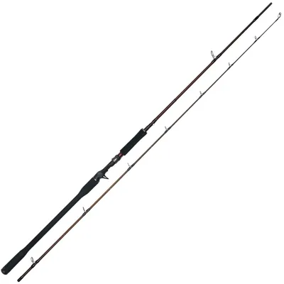 Produktbild von Westin W4 Powercast-T 2nd 2,55 m 40-130 gr XXH