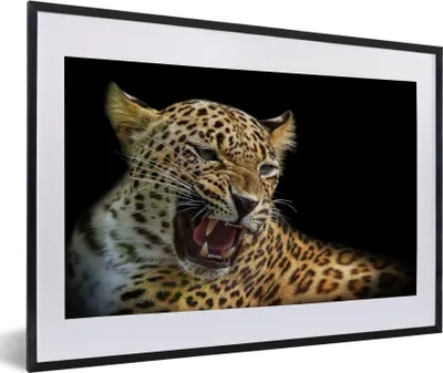 Produktbild von MuchoWow® MuchoWow® Gerahmtes Poster Leopard - Tiere - Schwarz 60x40 cm - Poster mit zchwarzem Bilderrahmen - Schlafzimmer - Plakat in Rahmen - Drucken
