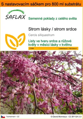 Obrázek produktu pro SAFLAX Garden in the bag - Strom lásky / strom srdce - Cercis siliquastrum - 60 Semena - S pěstebním substrátem v praktickém samovztyčovacím sáčku