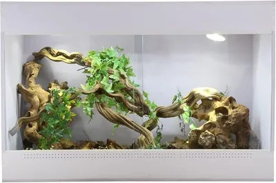Produktbild von IsoTarrium Basic, Terrarienmaße (B/T/H):80 x 50 x 50 cm