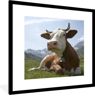 Produktbild von MuchoWow® Gerahmtes Poster Kuh - Berg - Gras 40x40 cm - Poster mit Schwarzem Bilderrahmen Wandposter Rahmen Foto Bilder - Poster - Plakat im Rahmen