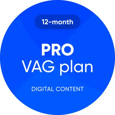 A blue circular graphic with white text advertising a 12-month PRO VAG plan for digital content.