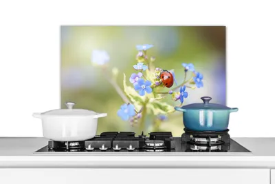 Obrázek produktu pro KitchenYeah® Splashback kitchen - Kuchyňský splashback - Ochrana stěny sporáku a dřezu - Beruška - Květina - Spring 60x40 - Alu-Dibond (alternativa ke skleněnému splashbacku) - Tepelně odolný - Splashback na sporák - Kuchyňský splashback
