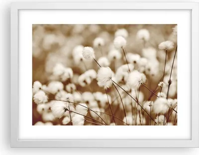 Produktbild von Gerahmtes Poster - Weißer Rahmen - Baumwolle Boho Wollig - 40x30 cm - Wand Bild - Wanddeko - Wandbilder - Kunstposter - Wandposter - Bilderrahmen - Bilder - Kunstdruck - P2WAA40x30-4850
