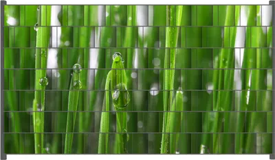 Produktbild von Wallario Zaunsichtschutz mit Motiv Wassertropfen an Grashalmen für Ein- und Doppelstabmatten Zäune in der Größe 250 x 140 cm